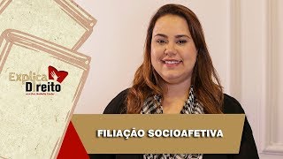 Explica Direito Filiação Socioafetiva  2019 [upl. by Aneerahs]